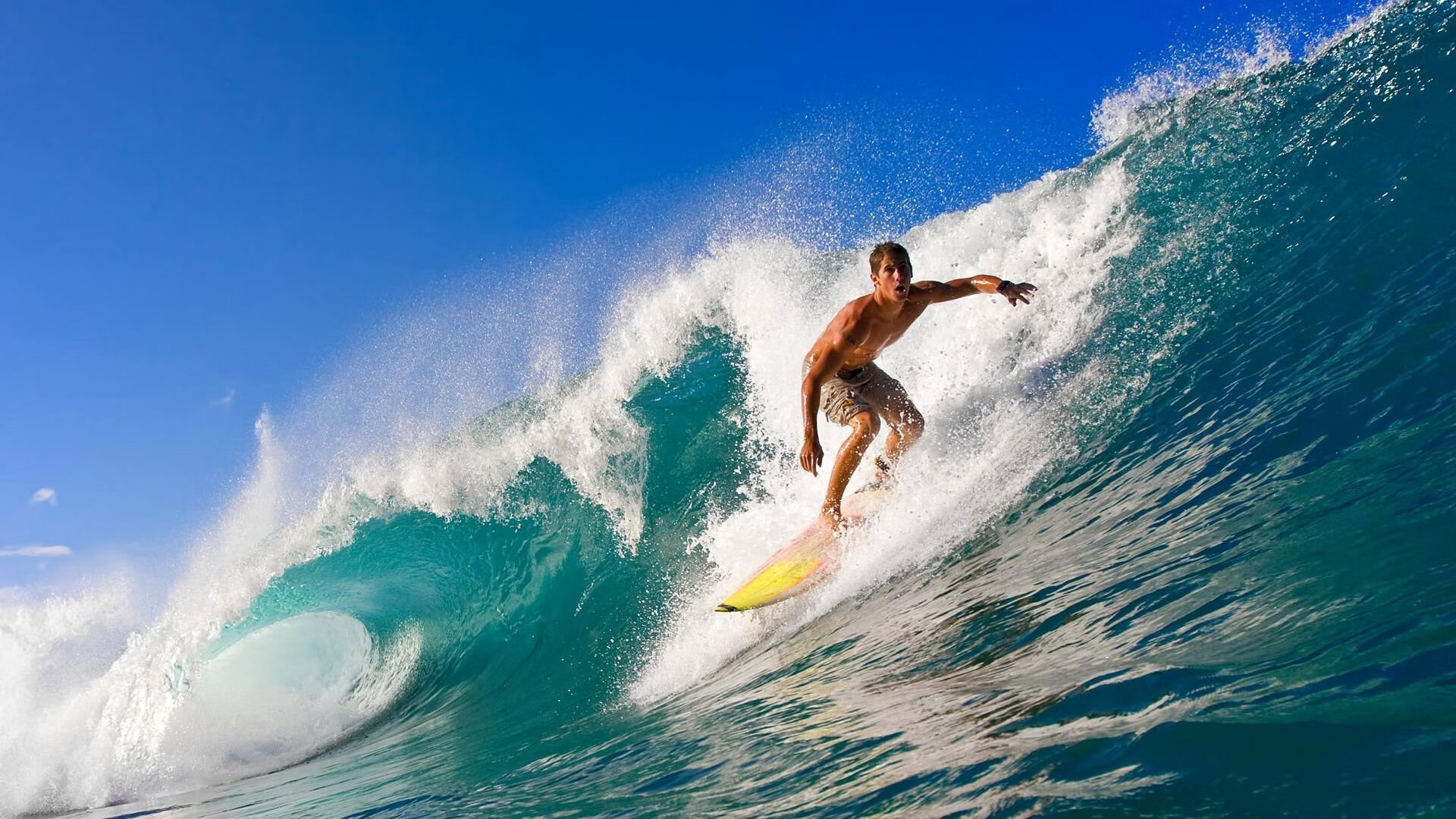 田径赛场焦点！阿根廷队对阵荷兰队，冠军之争悬念重重，胜负难料